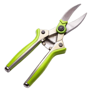 Pruning Sheers